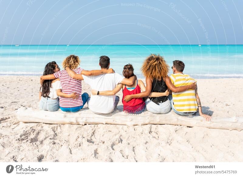 Friends taking a break, sitting on the beach Fun having fun funny friends sea ocean Seated beaches active friendship water waters body of water Activity