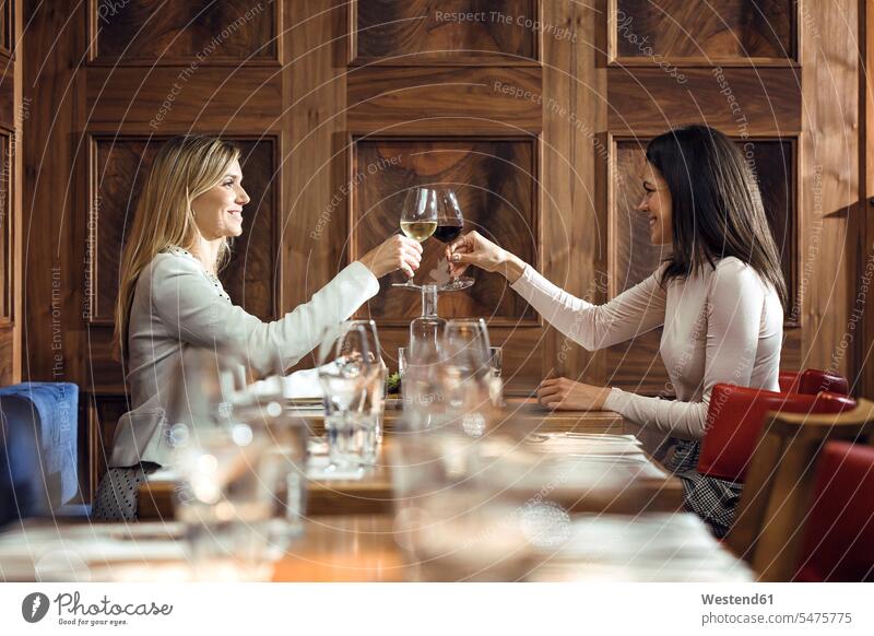 Two businesswomen clinking wine glasses in a restaurant friends mate female friend business life business world business person businesspeople associate