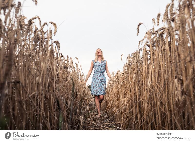 Barefoot woman walking in a wheat field rural scene series front view frontal (value=0) day daylight human human being human beings humans person persons adult