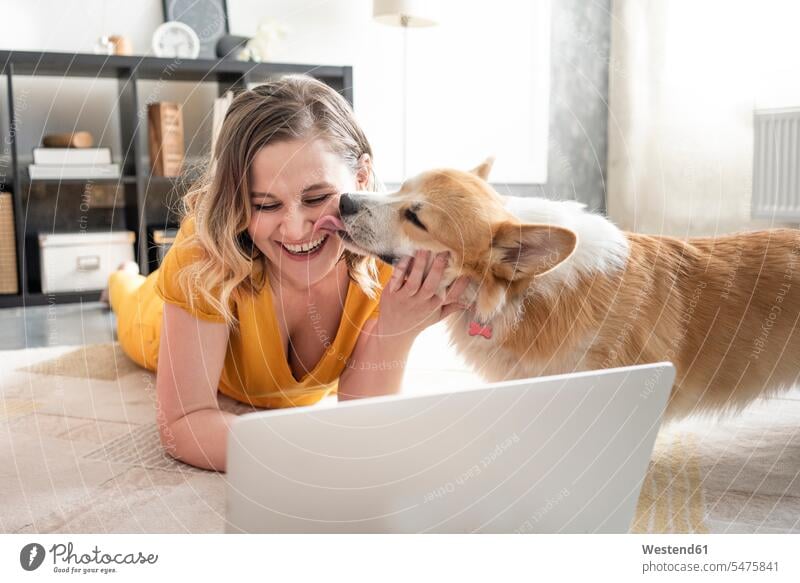 Happy woman using laptop in living room at home with dog licking over her face animals creature creatures domestic animal pet Canine dogs T- Shirt t-shirts