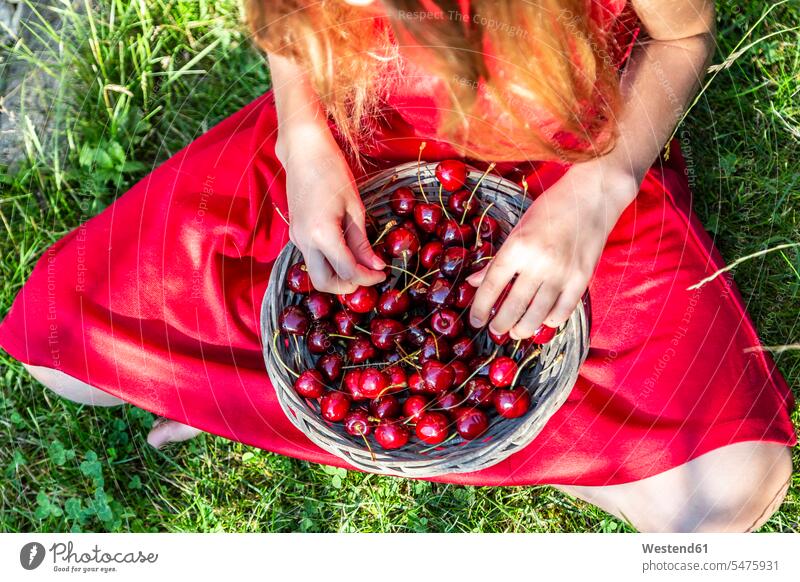 Girl with basket of cherries sitting on a meadow, partial view baskets meadows girl females girls Cherry Cherries hand human hand hands human hands Seated child