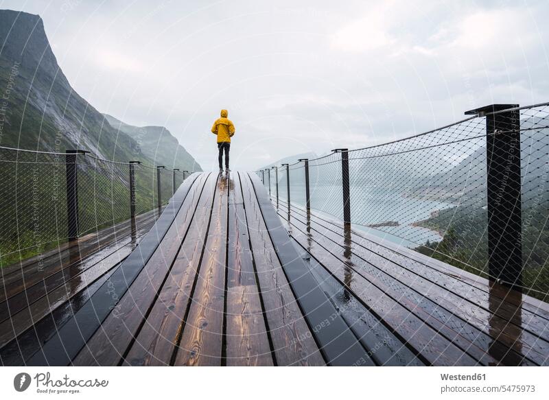 Norway, Senja island, rear view of man standing on an observation deck at the coast coastline shoreline men males viewing platform Adults grown-ups grownups