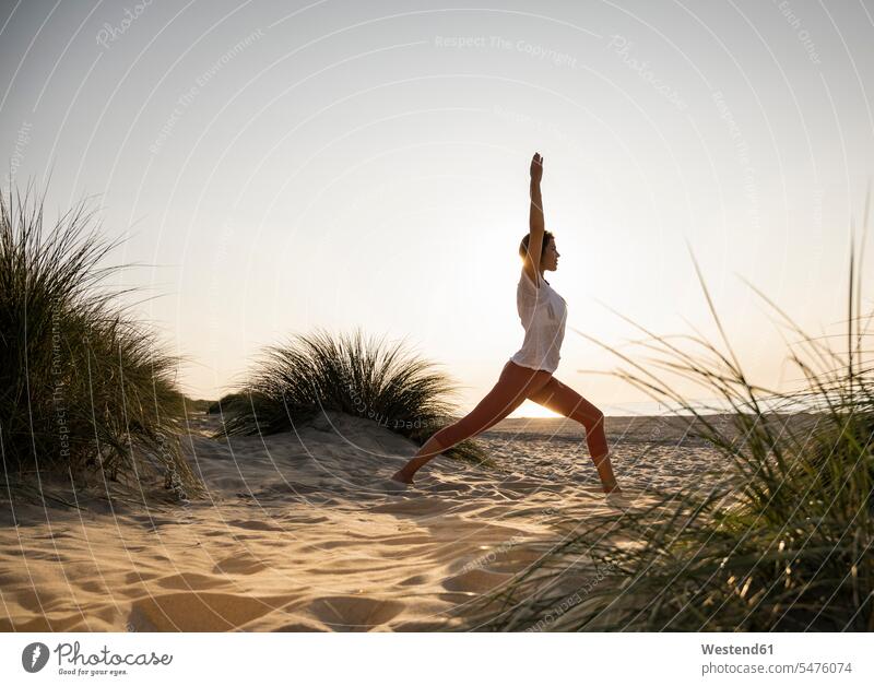 Young woman practicing warrior position yoga amidst plants at beach against clear sky during sunset color image colour image Netherlands Holland The Netherlands