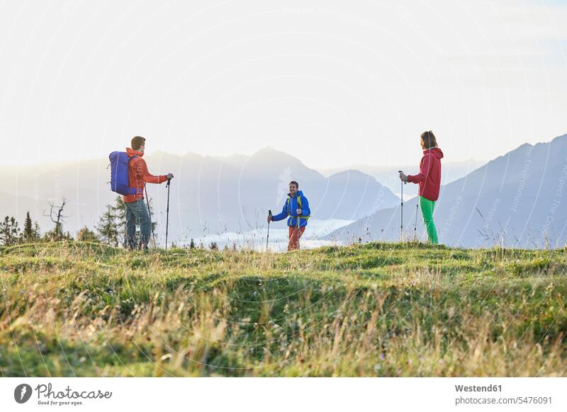 Austria, Tyrol, Mieming Plateau, hikers on alpine meadow meadows Alpine Meadow Alpine Meadows hiking wanderers standing outdoor activity rural scene
