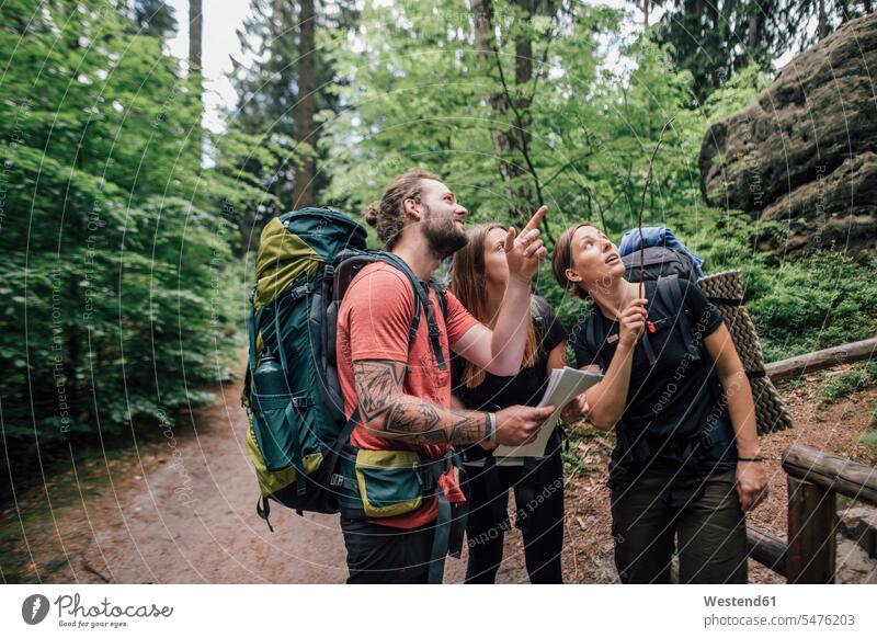 Friends on a hiking trip looking up friends hiking tour walking tour friendship excursion Getaway Trip Tours Trips Travel Saxony love of nature togetherness