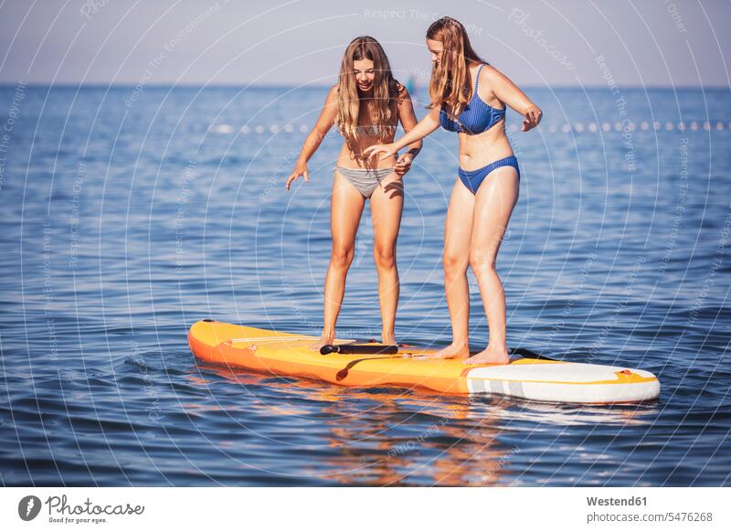 Friends standing on stand up paddle board in sea during sunny day color image colour image outdoors location shots outdoor shot outdoor shots daylight shot
