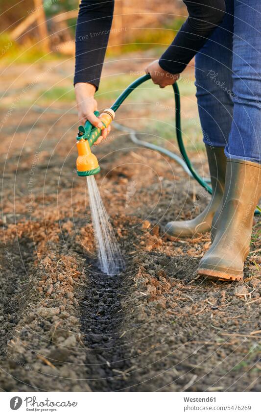 Low section of woman watering with garden hose outdoors location shots outdoor shot outdoor shots day daylight shot daylight shots day shots daytime hobby