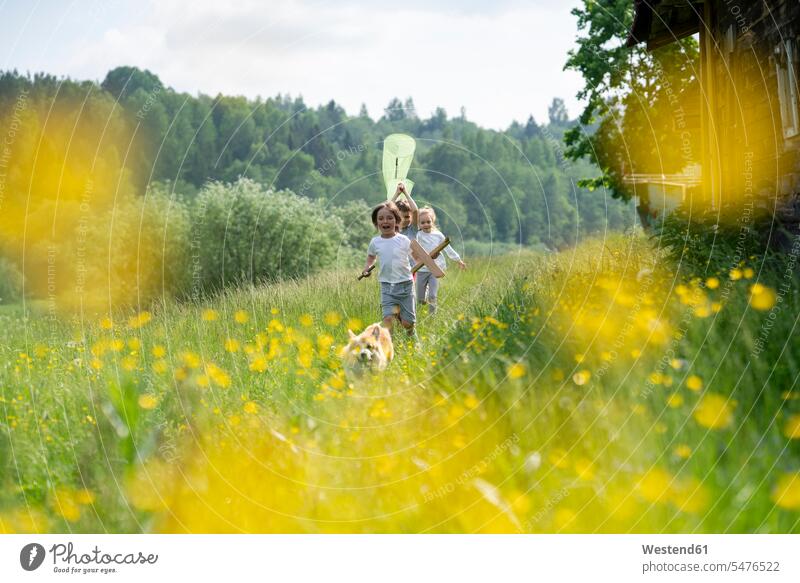 Carefree children with dog running on grassy landscape in forest color image colour image leisure activity leisure activities free time leisure time