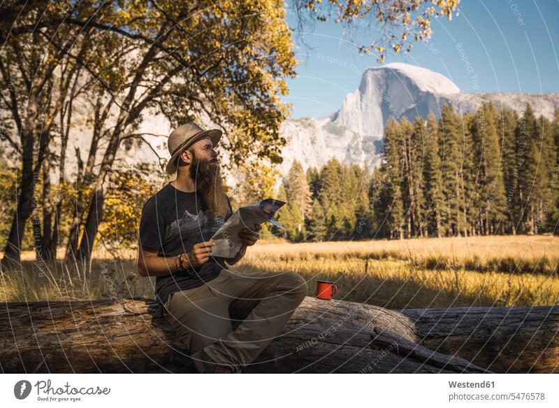 USA, California, bearded man with a map sitting on a log in Yosemite National Park logs Seated men males maps people persons human being humans human beings