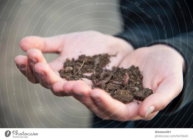 Germnay, Hands holding soil with worms caucasian caucasian ethnicity caucasian appearance european animal themes hand human hand hands human hands Germany day