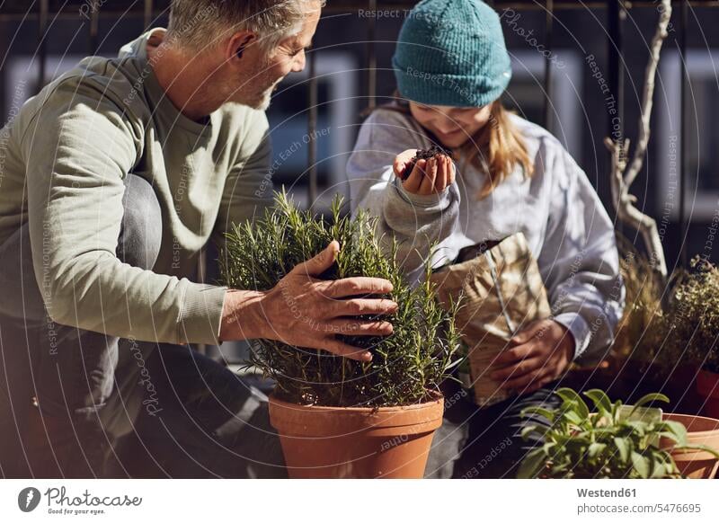 Father and daughter planting together on balcony flower pot flower pots flowerpots learn smile seasons spring season Spring Time springtime delight enjoyment