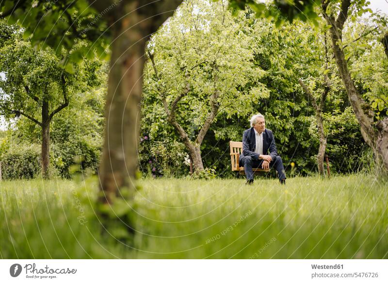 Senior businessman sitting on a chair in a rural garden business life business world business person businesspeople Business man Business men Businessmen