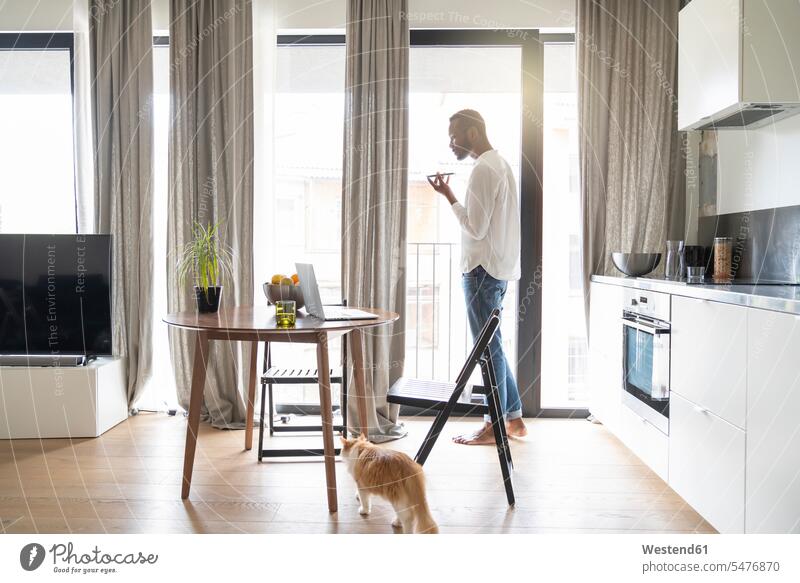 Man standing at Frencch door in modern apartment using smartphone animals creature creatures domestic animal pet cats Tables wood wood table computers