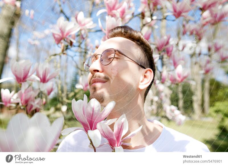 Young man enjoying magnolia blossom Germany Magnolia tree flower head flower heads blossoming season blossoming of the trees fragility fragile beauty of nature