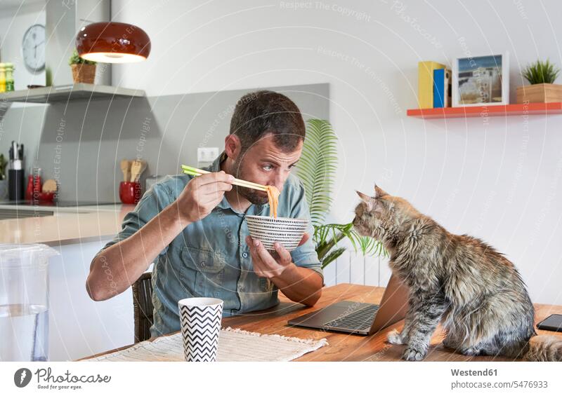 Male freelancer showing noodles to cat sitting on dining table at home color image colour image Spain indoors indoor shot indoor shots interior interior view