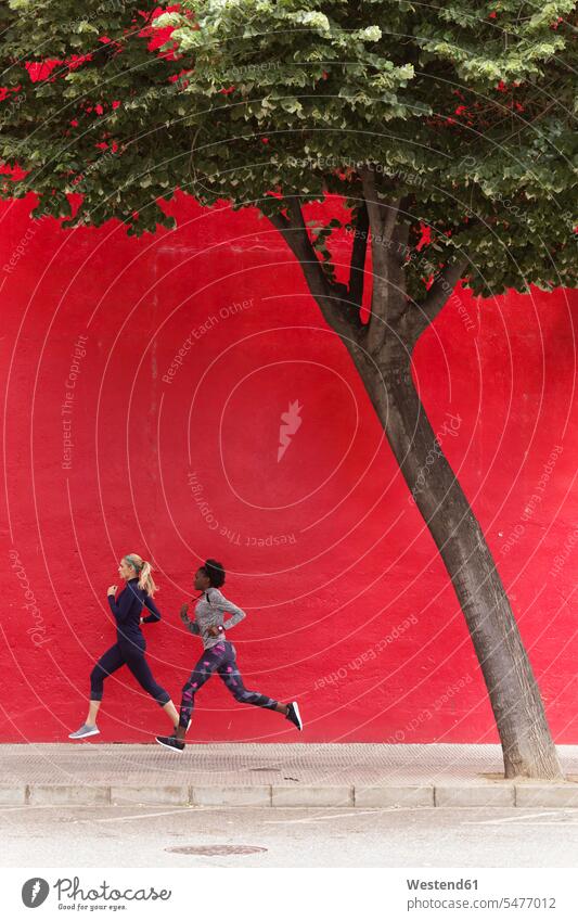 Two sporty young women running together in the city passing red wall Jogging town cities towns female friends woman females walls sportive sporting athletic