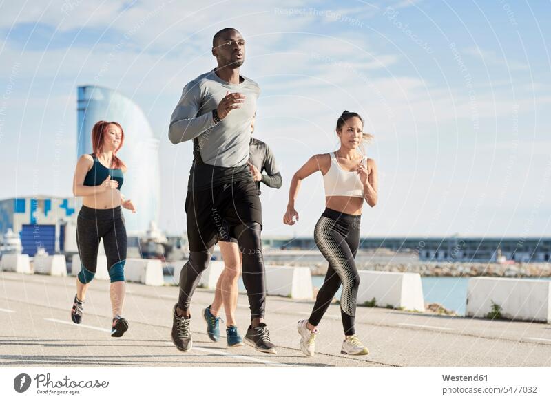 Group of sportspeople jogging at harbour jogger joggers Jogging athlete Sportspeople Sportsman Sportsperson athletes Sportsmen female jogger group of people