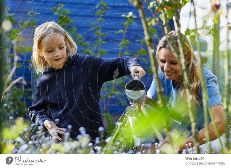 Mother and daughter watering flowers in allotment garden human human being human beings humans person persons caucasian appearance caucasian ethnicity european