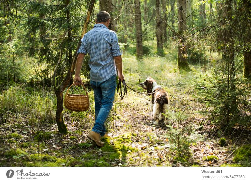 Mature man walking with dog looking for mushroom in forest color image colour image outdoors location shots outdoor shot outdoor shots day daylight shot