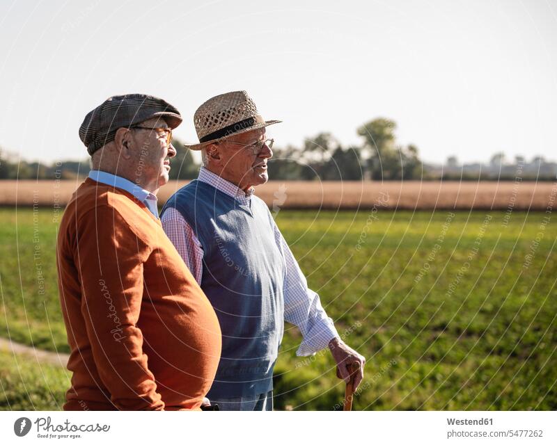 Two old friends standing in the fields, talking about old times Stroll walk walking going Best Friend Best Friends Best Pal speaking watching looking looking at