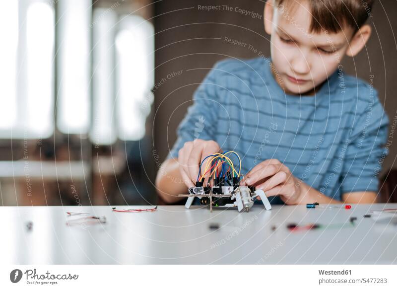 Boy assembling robot at home animals creature creatures cables power cord Tables toys robots discover discovering play delight enjoyment Pleasant pleasure happy
