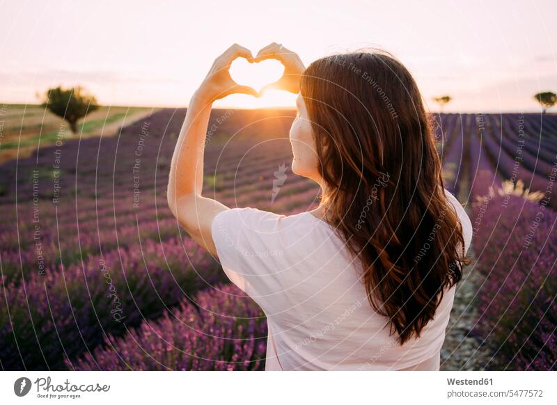 France, Valensole, back view of woman shaping heart with her hands in front of lavender field at sunset hearts heart shapes sunsets sundown human hand