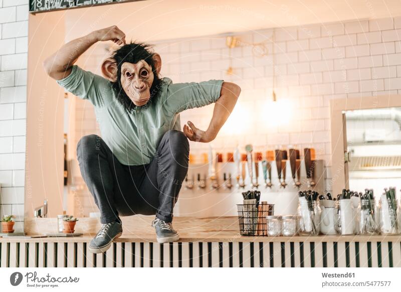 Man wearing monkey mask, sitting on counter of a bar, scratching head Seated monkeys bars entrepreneur entrepreneurs enterpriser startup young business start up