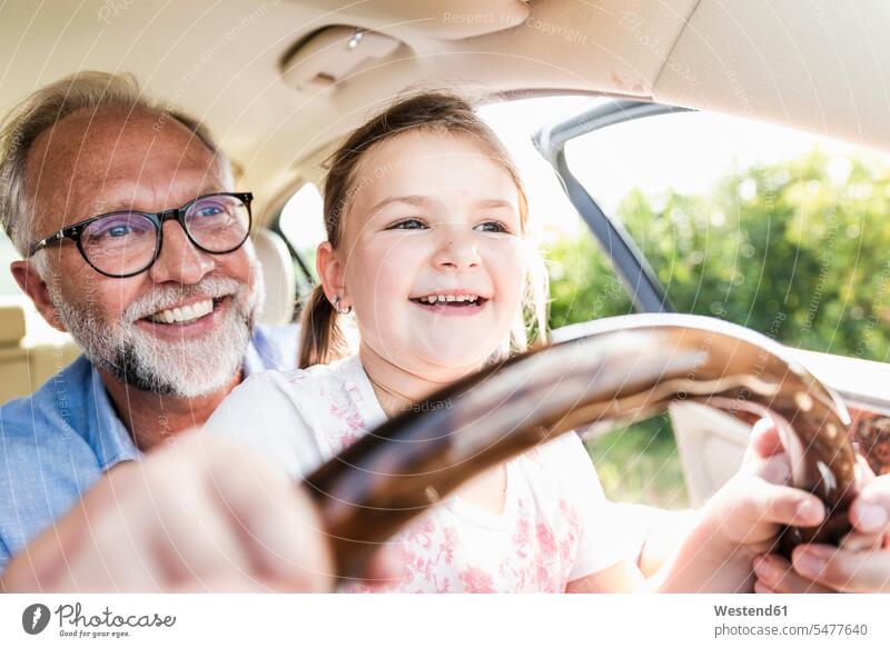 Little girl sitting on lap of grandfather, pretending to steer the car automobile Auto cars motorcars Automobiles steering summer summer time summery summertime