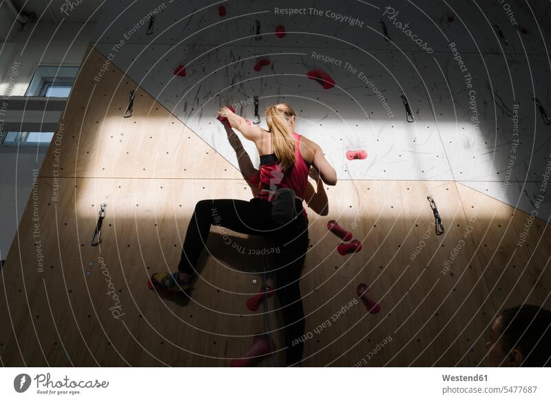 Woman climbing on the wall in climbing gym with sunlight and shadow (value=0) human human being human beings humans person persons caucasian appearance