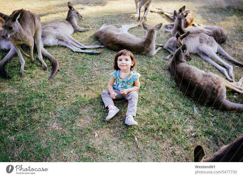Australia, Brisbane, portrait of smiling little girl sitting on a meadow between tame kangaroos smile Between among macropodidae meadows group of animals