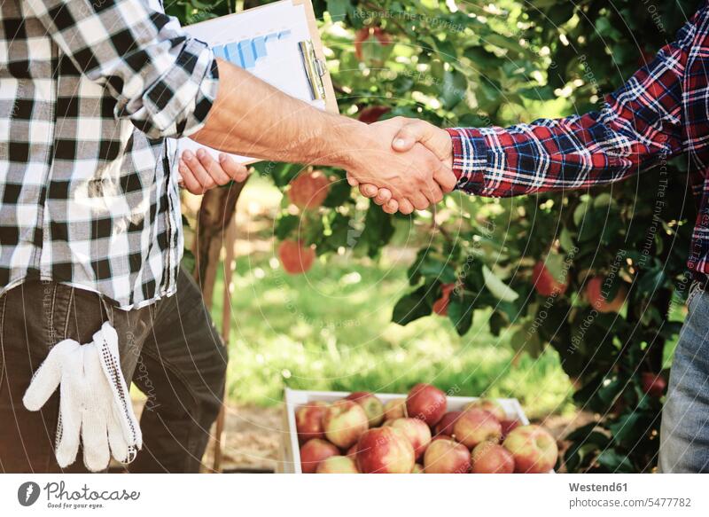Fruit growers agreeing on a deal, shaking hands business life business world business person businesspeople associate associates business associate