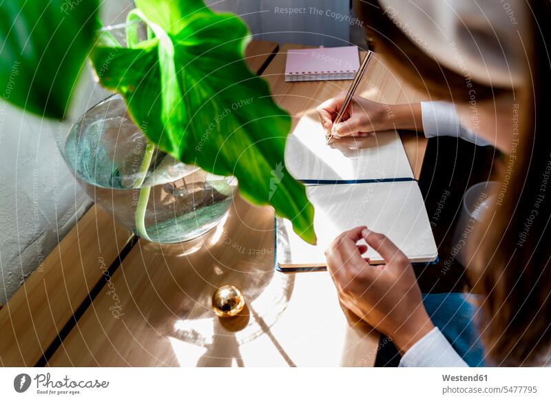Woman drawing in diary at desk color image colour image Spain indoors indoor shot indoor shots interior interior view Interiors day daylight shot daylight shots