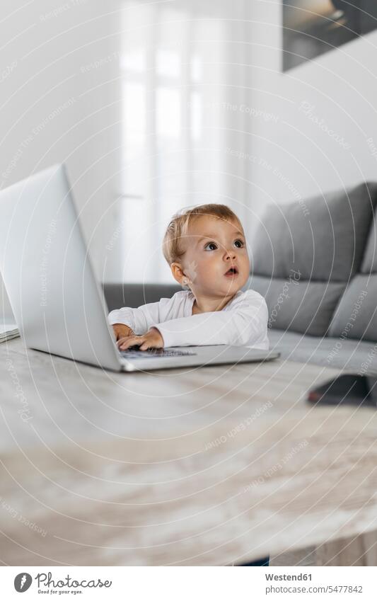 Toddler girl using laptop inquisitive inquisitiveness curious nosy inquisitively interested using a laptop Using Laptops home at home couch settee sofa sofas