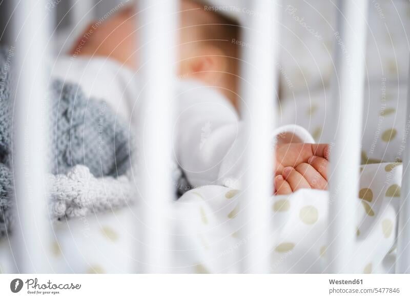 Defocused shot of baby lying in crib infants nurselings babies Cot children's bed laying down lie lying down people persons human being humans human beings beds