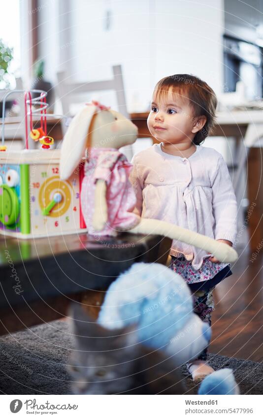 Cute baby girl playing with cuddly toy at home cute twee Cutie infants nurselings babies cuddly toys soft toy soft toys baby girls female people persons