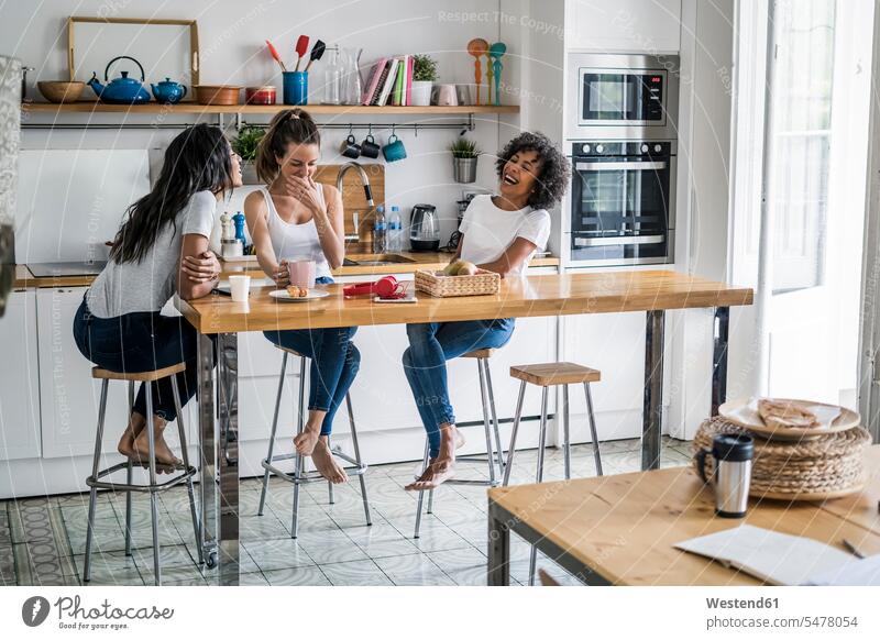 Three happy women sitting at kitchen table at home socializing female friends Seated happiness Kitchen Table Kitchen Tables woman females socialise socialising