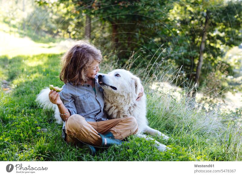 Boy relaxing with dog on a meadow human human being human beings humans person persons caucasian appearance caucasian ethnicity european 1 one person only