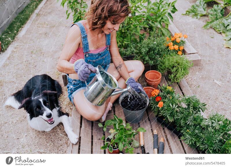 Woman watering plant while sitting with border collie at vegetable garden color image colour image Spain casual clothing casual wear leisure wear casual clothes