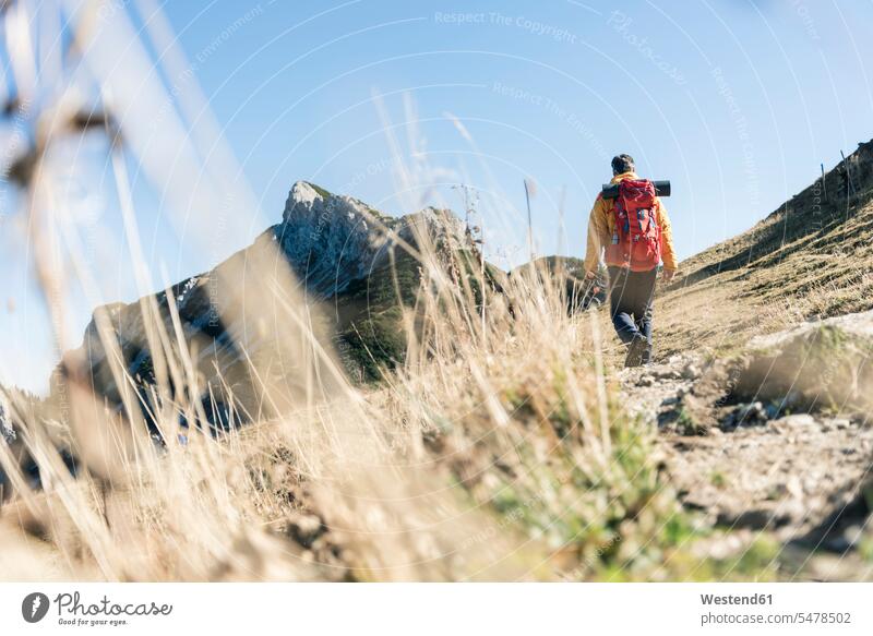 Austria, Tyrol, man hiking in the mountains mountain range mountain ranges men males hike landscape landscapes scenery terrain Adults grown-ups grownups adult