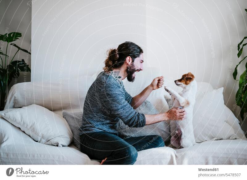 Happy man having fun while playing with dog at home color image colour image indoors indoor shot indoor shots interior interior view Interiors Home Interior
