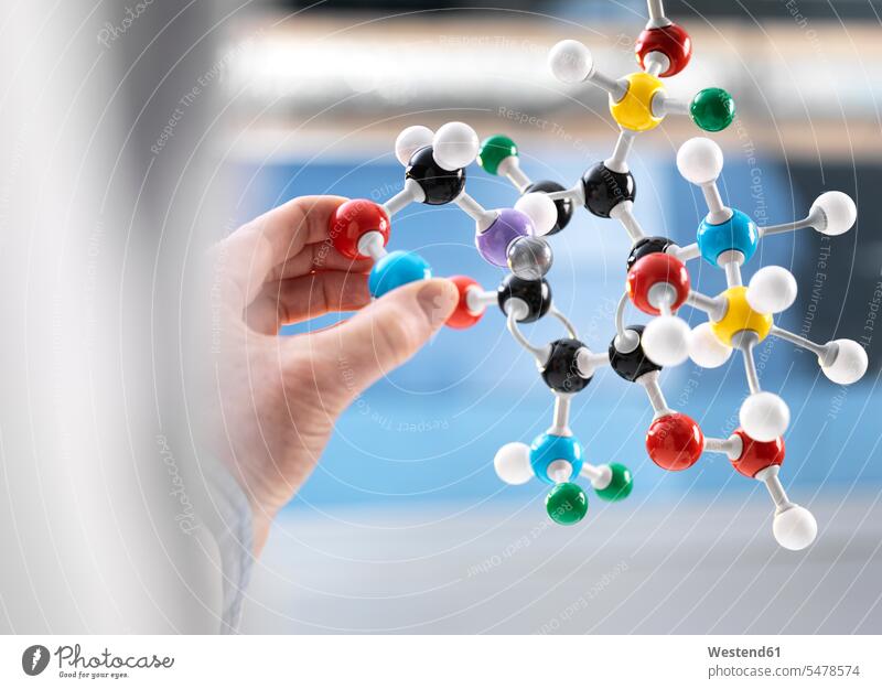 Scientist holding a molecular model hand human hand hands human hands chemistry molecule molecules science sciences scientific Molecular Structure people