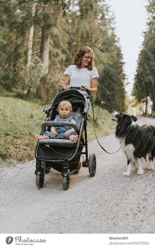 Mother with baby in stroller and dog walking on forest path animals creature creatures pet Canine dogs T- Shirt t-shirts tee-shirt baby carriage baby carriages