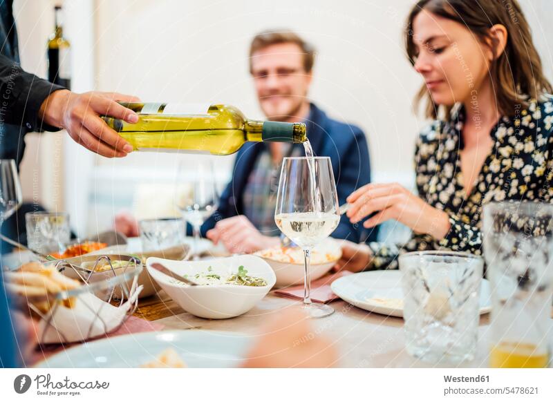 Friends dining in an Indian restaurant, waiter pouring wine in glasses human human being human beings humans person persons caucasian appearance