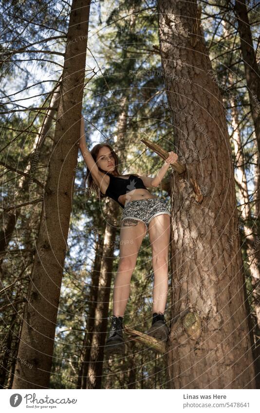 A pretty brunette girl is up in s tree. She feels comfortable in this forest as her spirit is wild as well. A pretty woman is enjoying summertime and just being all gorgeous.