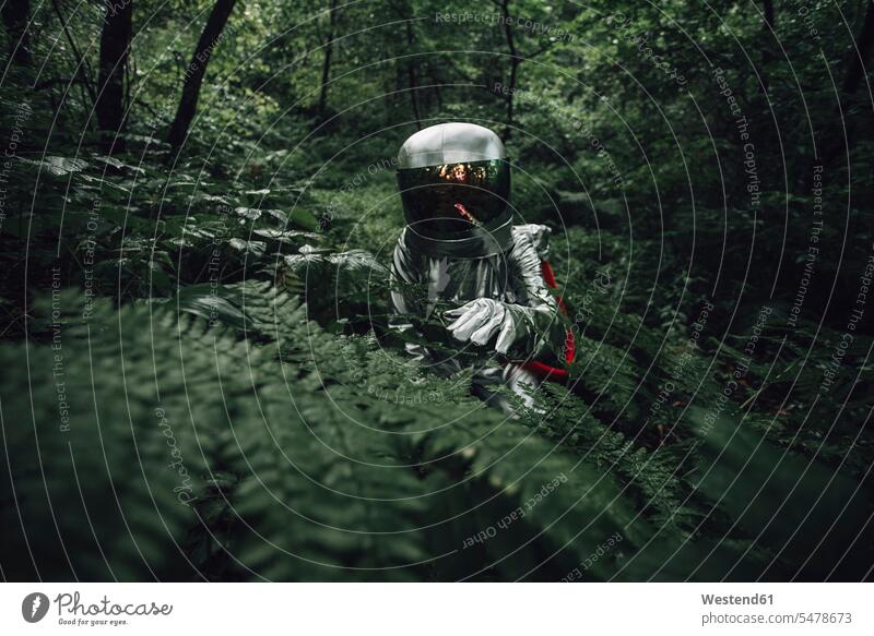 Spaceman exploring nature, examining plants in forest natural world touching spaceman spacemen amazement amazed woods forests Exploration explore checking