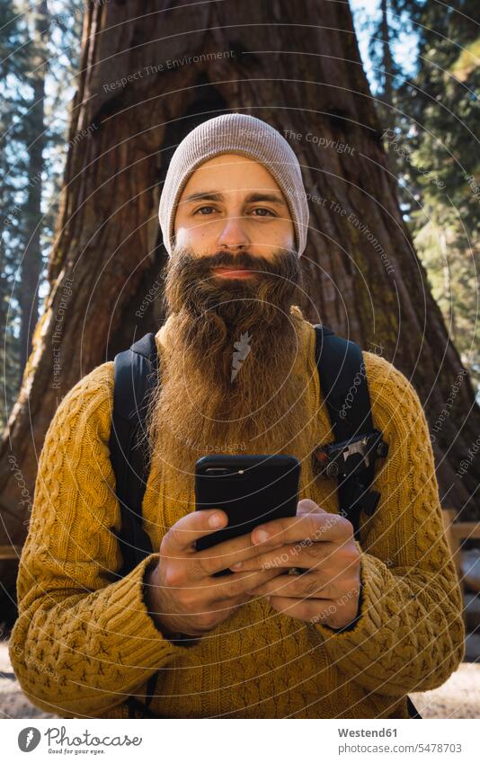 USA, California, Yosemite National Park, Mariposa, portrait of bearded man with cell phone at sequoia tree forest woods forests men males mobile phone mobiles