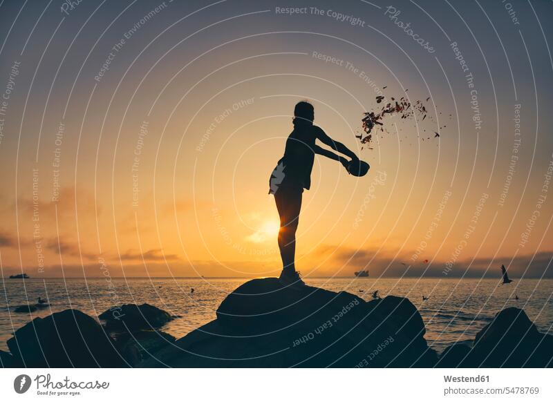 Silhouette woman feeding birds while throwing food from bowl at beach during sunset color image colour image outdoors location shots outdoor shot outdoor shots