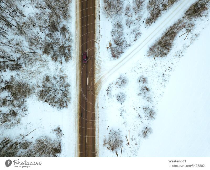 Russia, Moscow Oblast, Aerial view of bare trees surrounding countryside highway in winter rural scene Non Urban Scene Non-Urban Scene non-urban nobody white