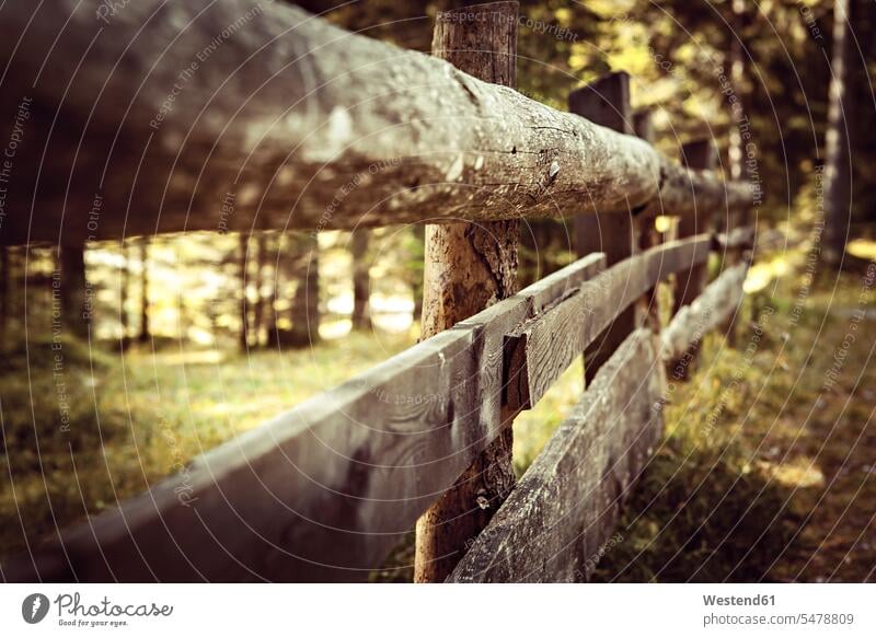 Italy, Dolomite Alps, old fence near Lago di Dobiacco Protection protecting wood wooden forest forests woods wooden fence wooden fences security safe Safety