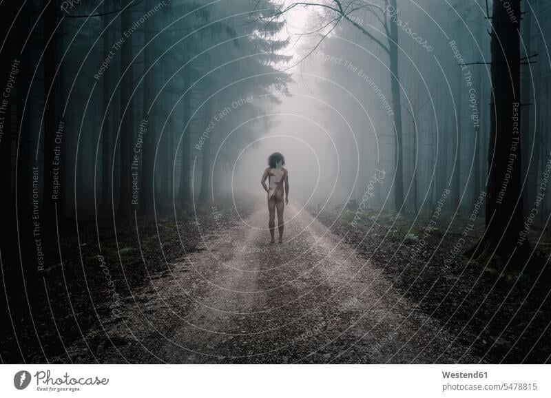 Rear view of nude man standing on path in foggy forest caucasian caucasian ethnicity caucasian appearance european woods forests rear view back view